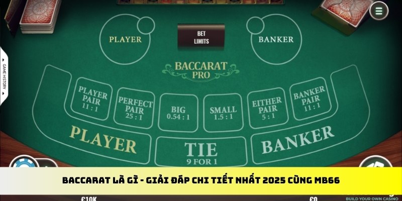 123win30 gà chọi cu cần