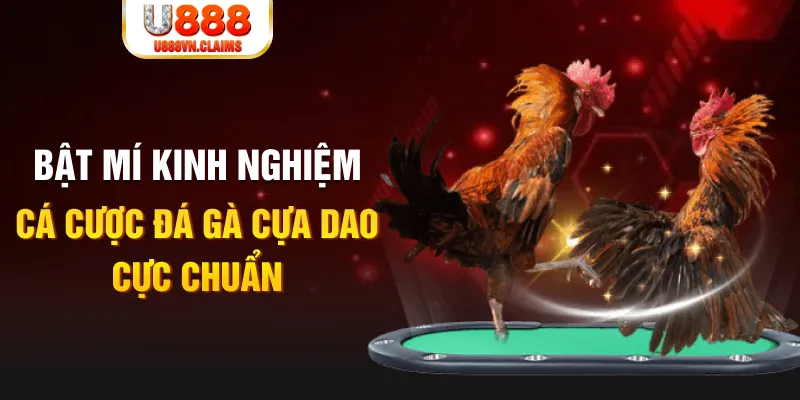 123win30 tỷ lệ cá cược châu á là gì