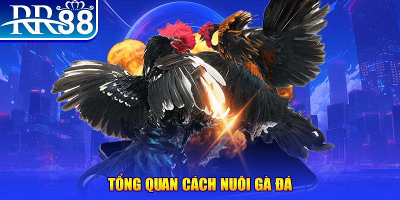 123win30 VA Điện Tử