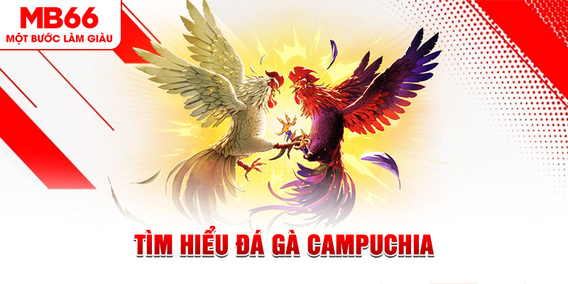 123win30 đá gà trực tiếp