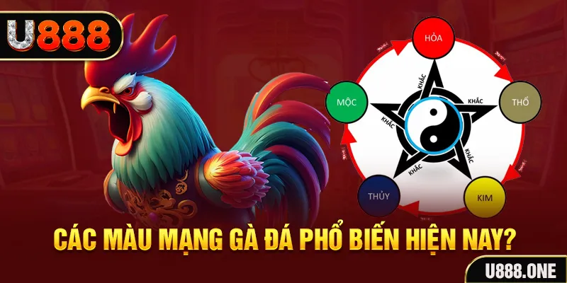 123win30 trực tiếp đá gà 88
