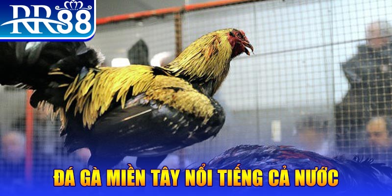 123win30 JILI Game Bài 3d