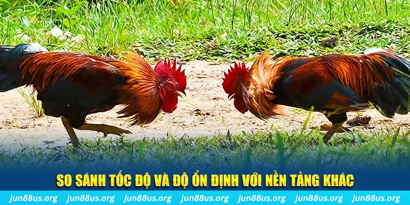 123win30 đá gà hôm nay