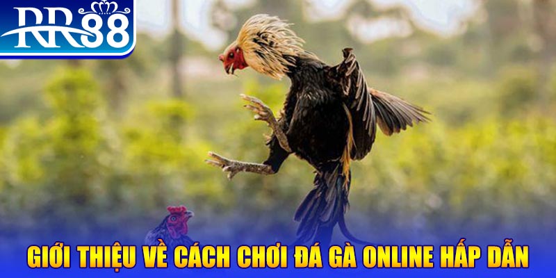123win30 game nổ hũ rút tiền mặt là gì