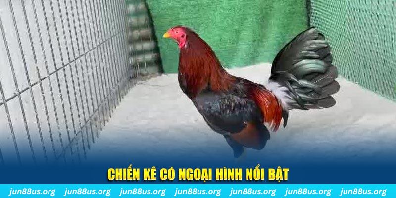 123win30 chạy quảng cáo cho game bài bị phạt như thế nào