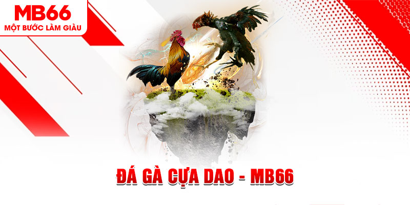 123win30 đá gà sv388 gold