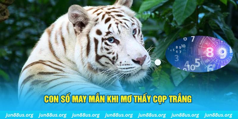 123win30 đá gà trực tiếp 88